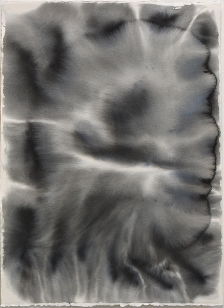 Untitled, 2012, Ink on paper, 106 x 75,5 cm