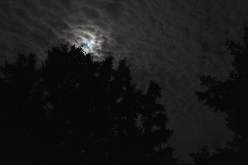 Mondsee, 2009/10, Pigment print, 160 x 240 cm, Edition of 5