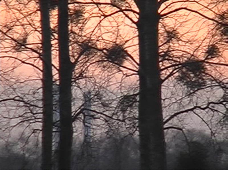 Himmelgeist, 2005/08, Pigment print, 95 x 115 cm, Edition of 7