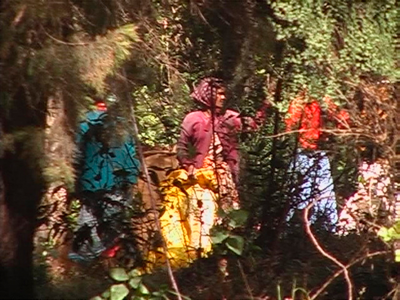 Eukalyptus I, 2004/08, Pigment print, 95 x 115 cm, Edition of 7