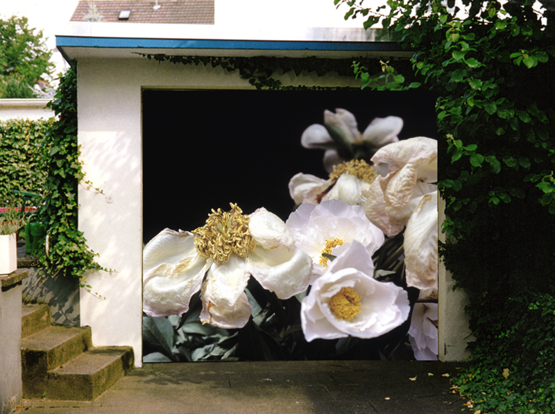 All that falls, 2001, Inkjet print on vinyl, 211 x 248 cm, 
Edition of 3, Installation: Kunst in Privatgärten, Darmstadt, 2001