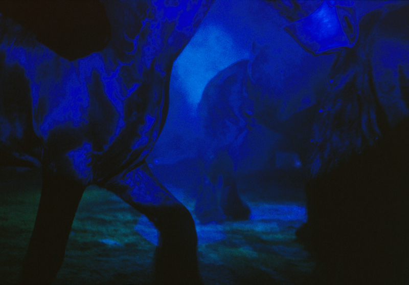 Untitled (out of the series - Haus der Freude -), 1999